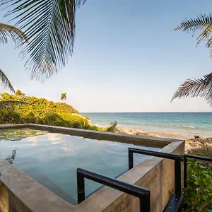 Tropicalito On The Hotel Tulum